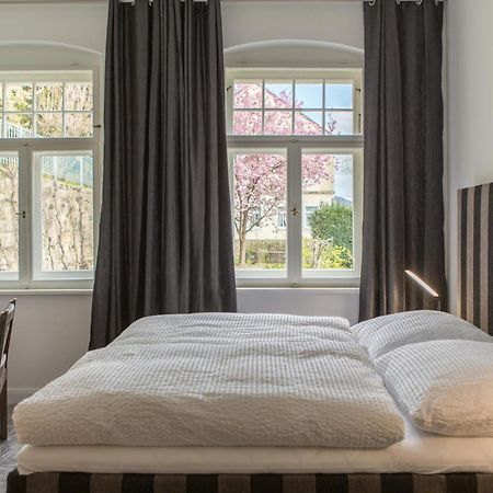 Villa Elbufer Bad Schandau Bagian luar foto