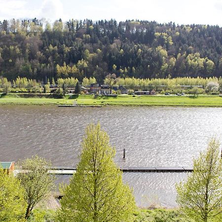 Villa Elbufer Bad Schandau Bagian luar foto