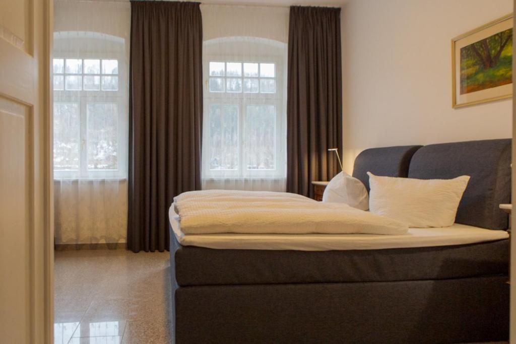 Villa Elbufer Bad Schandau Bagian luar foto