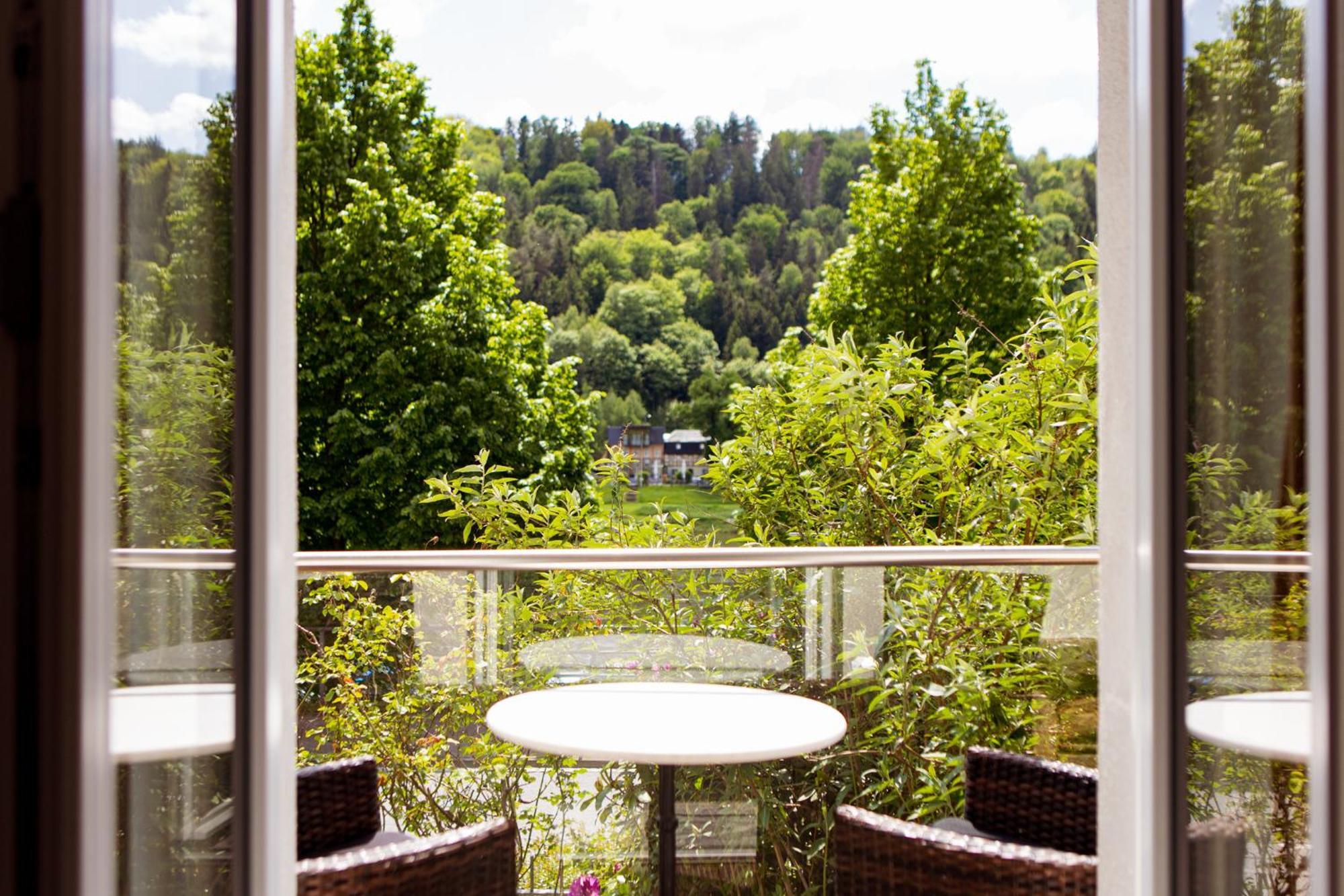 Villa Elbufer Bad Schandau Bagian luar foto